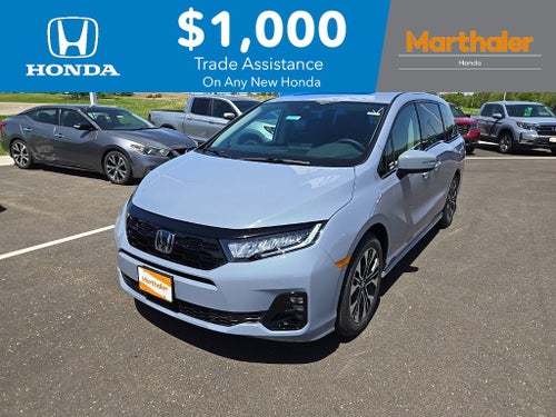 2026 Honda Odyssey Elite