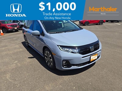 2026 Honda Odyssey Elite