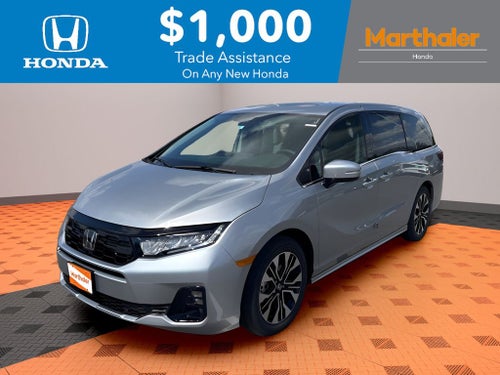 2026 Honda Odyssey Elite