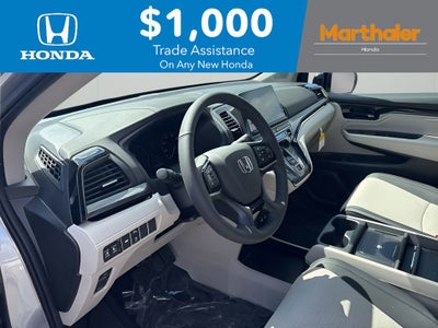 2026 Honda Odyssey Elite