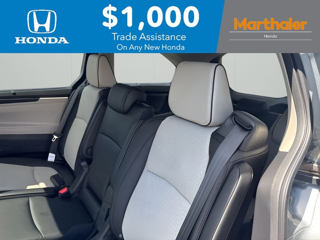 2026 Honda Odyssey Elite