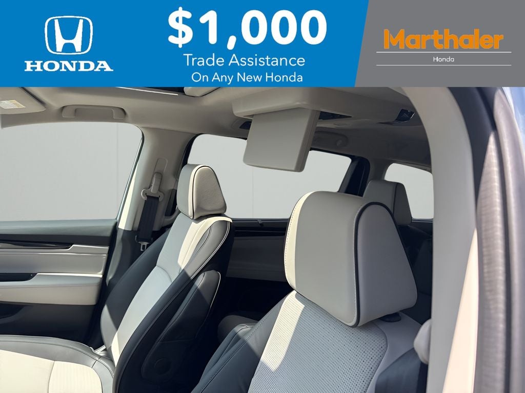 2026 Honda Odyssey Elite